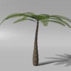 Albero tropicale della palma semplice