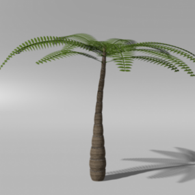 간단한 야자수 열대 나무 3d 모델