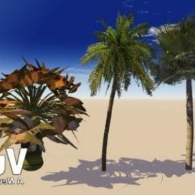 Palmiye Ağaçları Gerçekçi 3d modeli