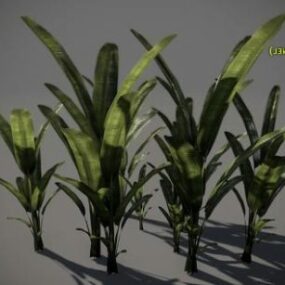 3D-Modell einer kleinen Pflanze