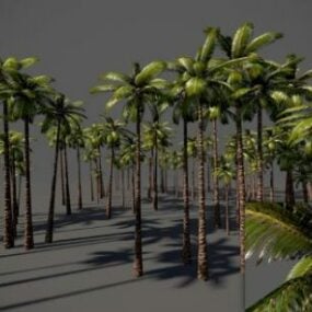 코코넛 야자 나무 숲 3d 모델