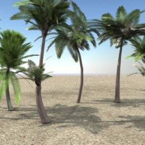 3д модель пальмового тропического растения