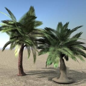 Palmiye Eğrelti Ağacı 3d modeli