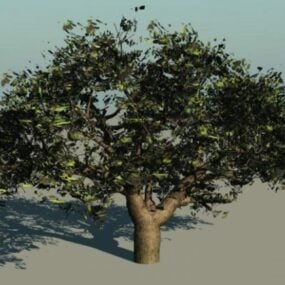 Pin Oak Tree 3d model