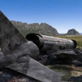 放棄された飛行機事故3Dモデル