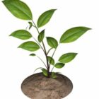 Small Leaf Plant Pot
