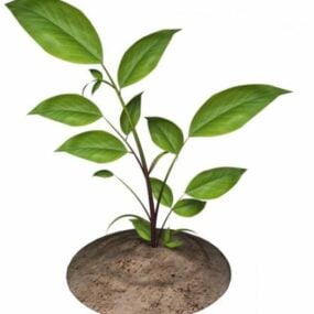 3д модель маленького листового горшка для растений