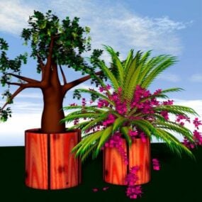 Zimmerpflanze im Topf 3D-Modell