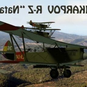 Vintage Uçak Polikarpov Rz 3D modeli