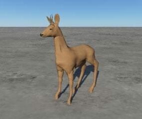 獐鹿3d模型