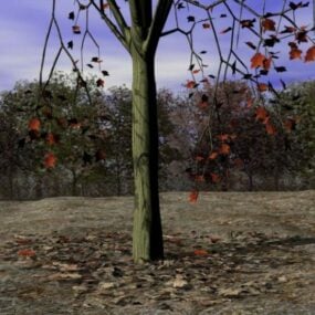 분산형 가을 잎 나무 3d 모델