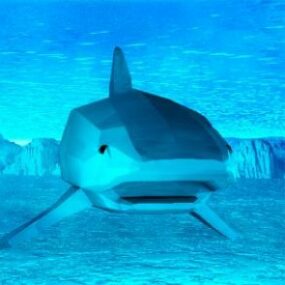 Lowpoly نموذج حيوان القرش ثلاثي الأبعاد