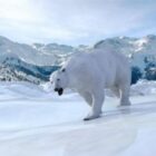 حيوان الدب على التضاريس الثلجية