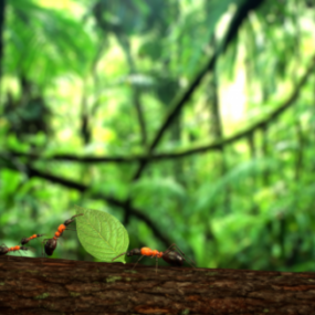 Metsäkasvien luontopuu 3d-malli