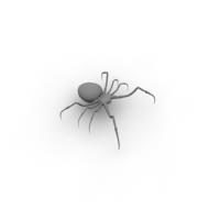 蜘蛛 Lowpoly 动物 3d 模型