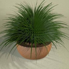 Modello 3d della pianta in vaso appuntita