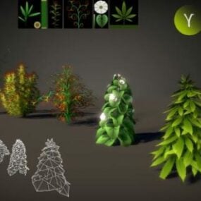Mô hình 3d Cây thực vật sành điệu