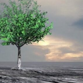 مدل سه بعدی درخت پهن را استخدام می کند