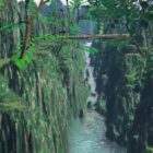 Schlucht-Wasserfall-Waldlandschaft