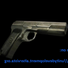 مسدس بندقية توكاريف