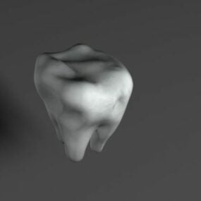 Modello 3d di anatomia umana del dente