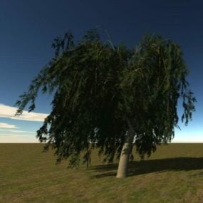 مدل سه بعدی درخت پهن برگ درخت ضخیم