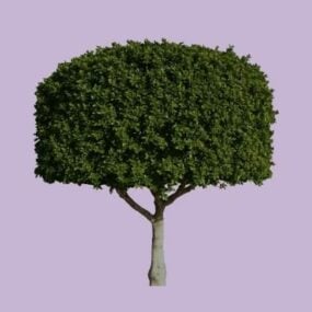 Large Tree Hedge 3d model