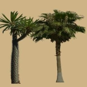 Twee tropische palmbomen 3D-model