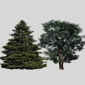 3д модель европейского широколиственного дерева