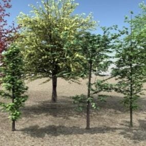 Erityyppisiä puita 3d-malli