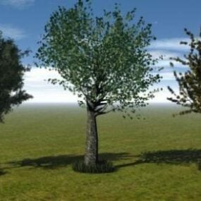 Zestaw drzew Kolekcja drzew Model 3D