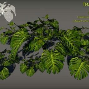 热带植物灌木3d模型