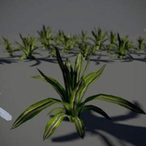 Tropical Plant Set 3d model