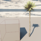 Высокая пальма