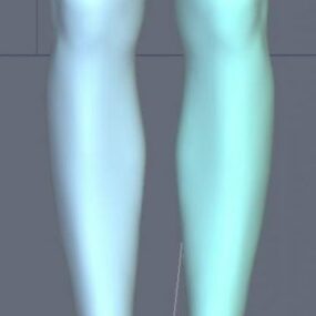 3D model postavy anatomie nohy