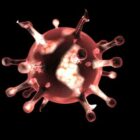 Cellula del virus dell'influenza