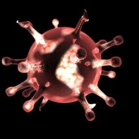 독감 바이러스 세포 3d 모델
