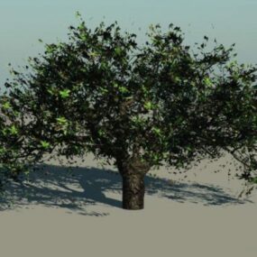 Model 3d Pohon Ek Berdaun Lebar