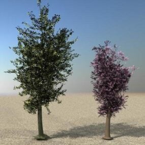 若い木、緑、ピンクの葉3Dモデル