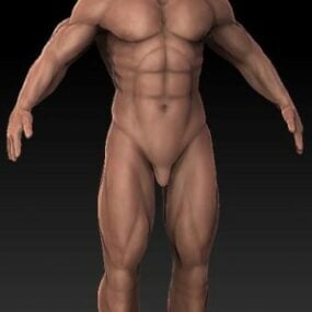 Sağlam Adam Vücudu 3D modeli