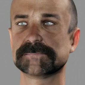 Zbrush Male Head Character 3d model