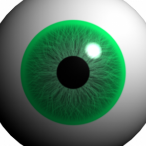Human Eye 3d-model