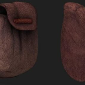 Old Medicine Pouch 3d model