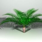 Низкое пальмовое дерево