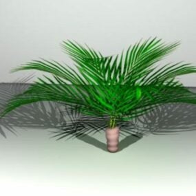 مدل سه بعدی درخت نخل کم بوته