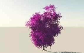Arbre à feuilles larges violet modèle 3D