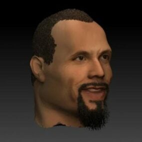 Het 3D-model van de Rock Man Head