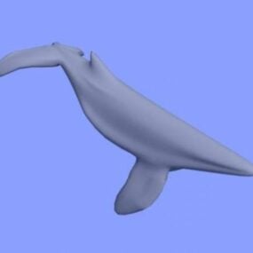 Modello 3d animale balena di mare