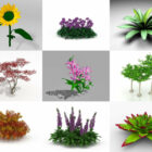 9 Garden Plant Tree Free 3D Models Feb.2024