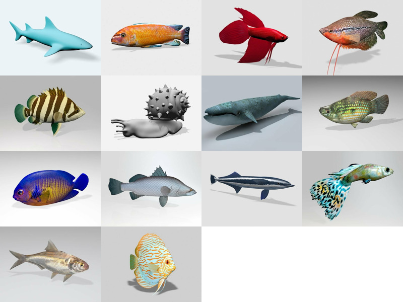 14 个水生动物免费 3D 模型 Mar.2024